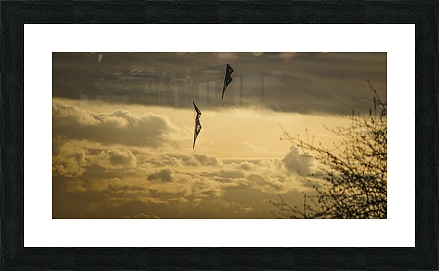 FS250401 KITES Picture Frame print