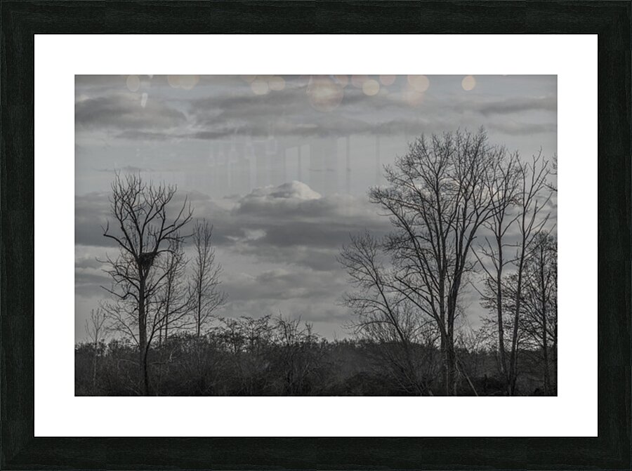 FS250401 EAGLE NEST Picture Frame print