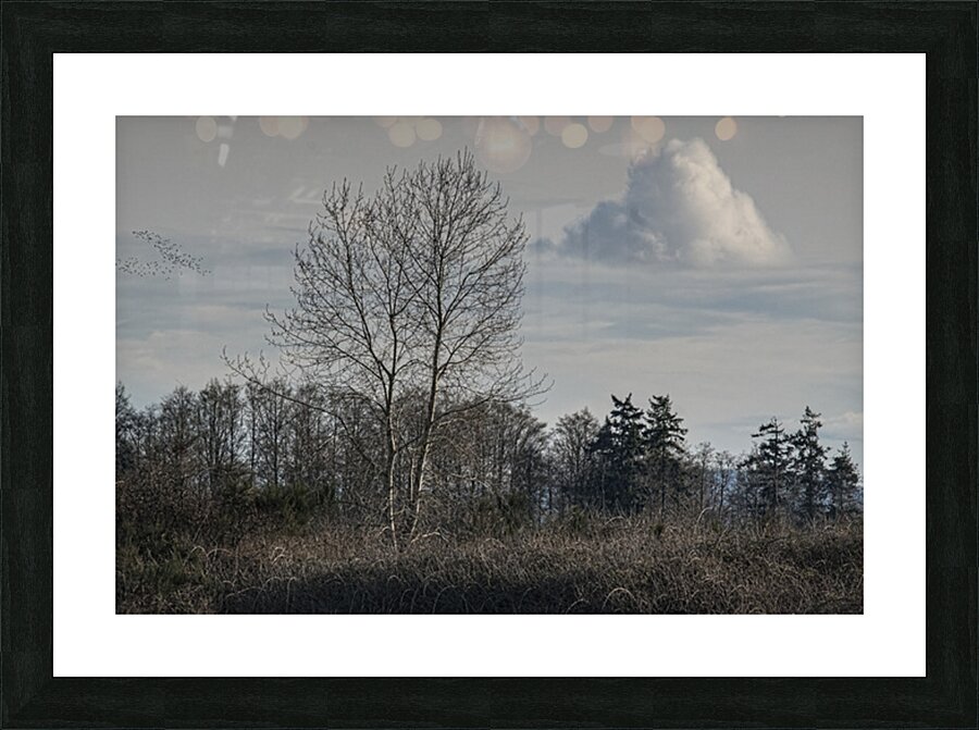 FS250329 Picture Frame print