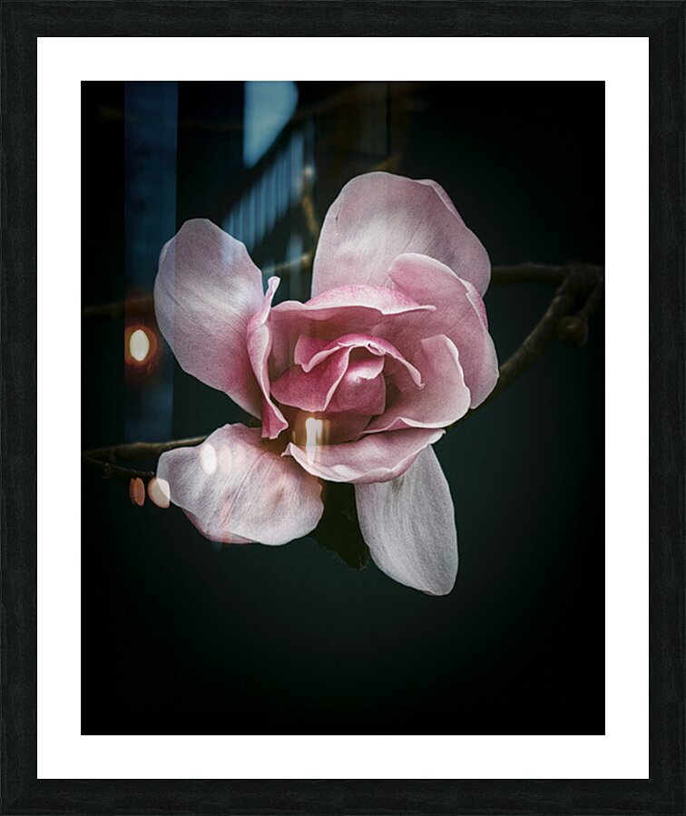 FS250402 SPRING FLOWER Picture Frame print