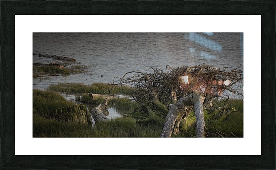 FS250414 Picture Frame print