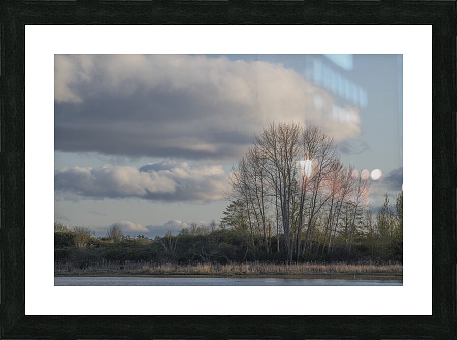 FS250410 CLOUDSCAPE Picture Frame print