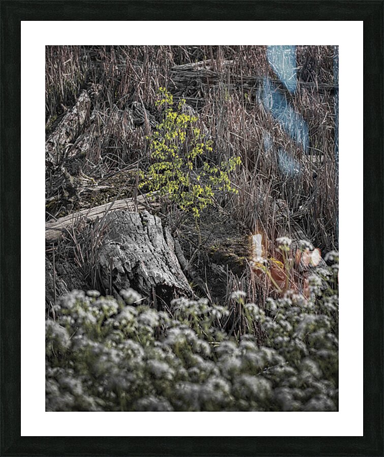 FS250430  SPRINGTIME Picture Frame print