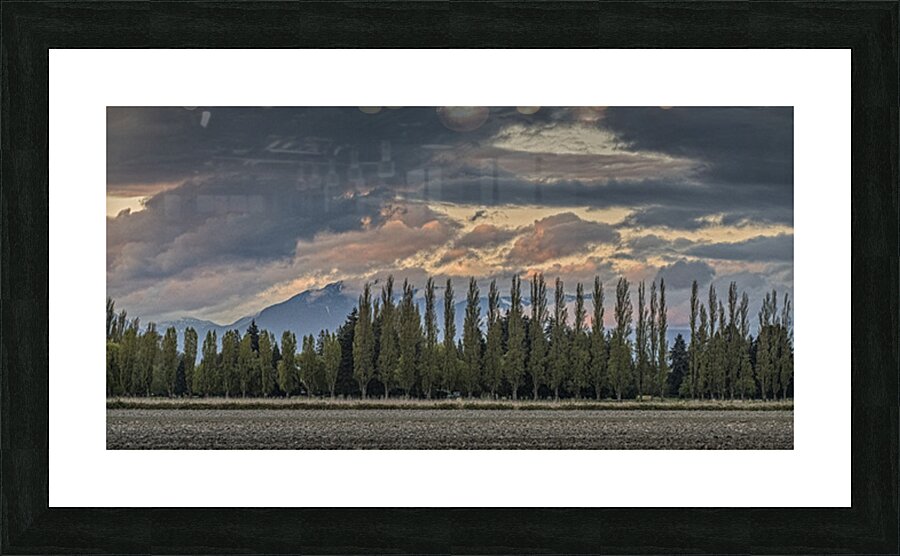 FS250420 BEFORE SUNSET Picture Frame print