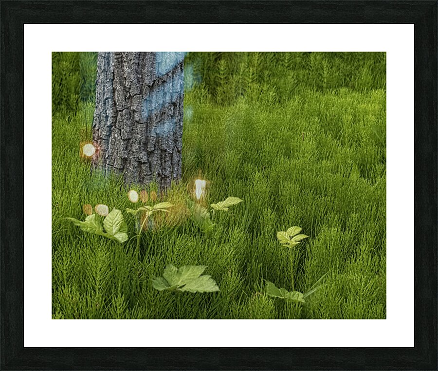 FS250507 SPRINGTIME Picture Frame print