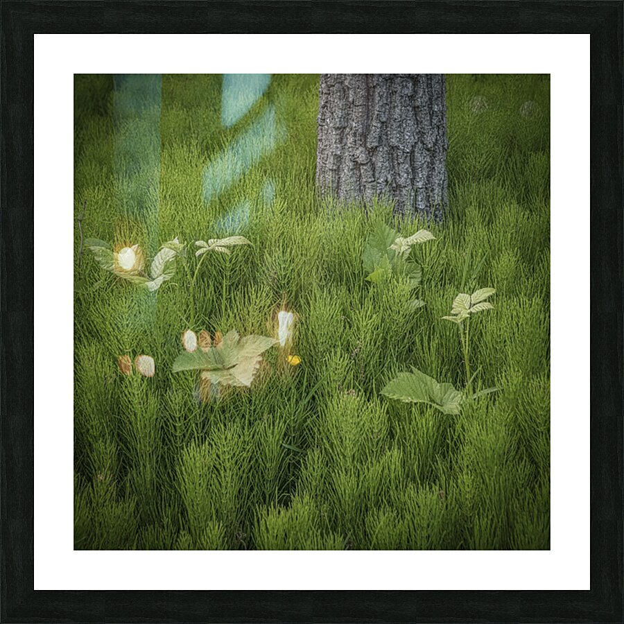 FS250507SS SPRINGTIME Picture Frame print