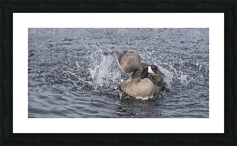FS250525 25 Picture Frame print