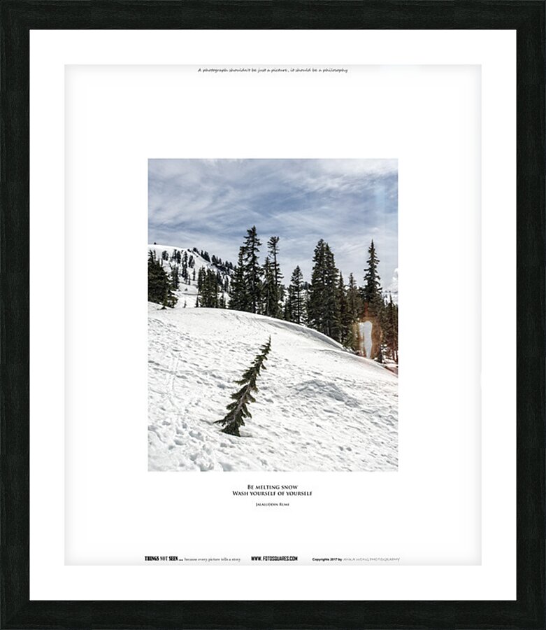 BE MELTING SNOW Picture Frame print