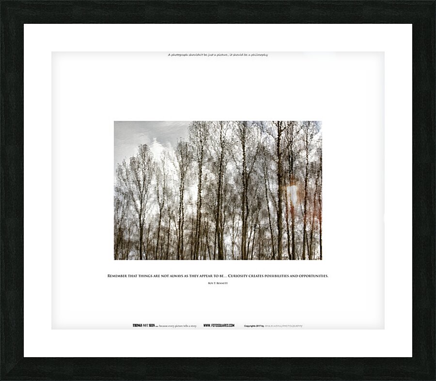 CURIOSITY Picture Frame print
