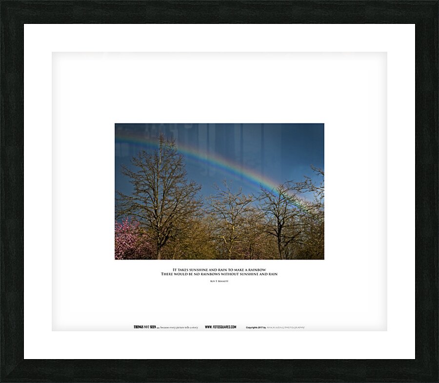 SUNSHINE AND RAIN Picture Frame print