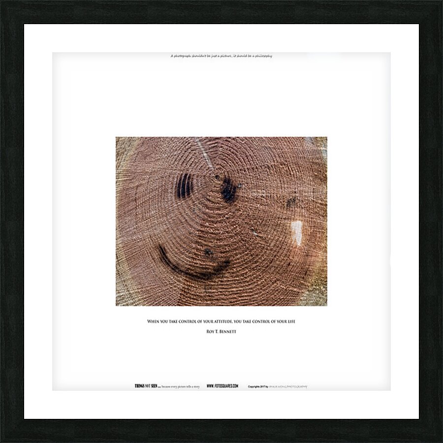 TAKE CONTROL Picture Frame print