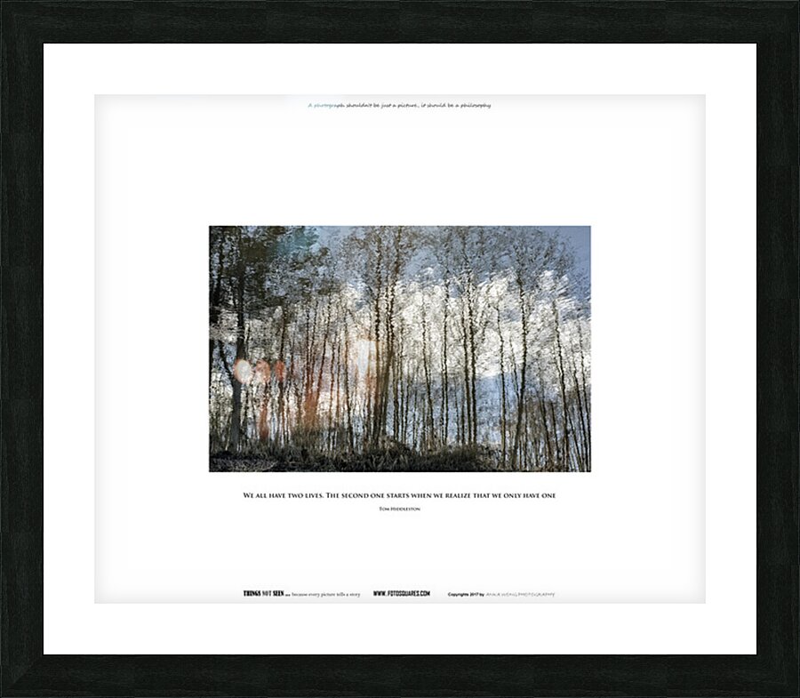 WE ALL HAVE TWO LIVES Picture Frame print