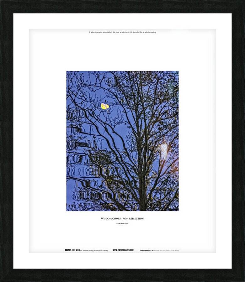 WISDOM COMES FROM REFLECTION Picture Frame print