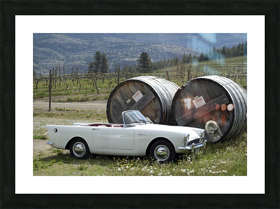 VINEYARD Picture Frame print