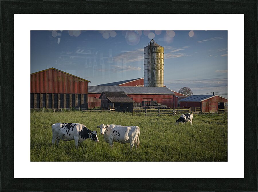 FS250528 Picture Frame print