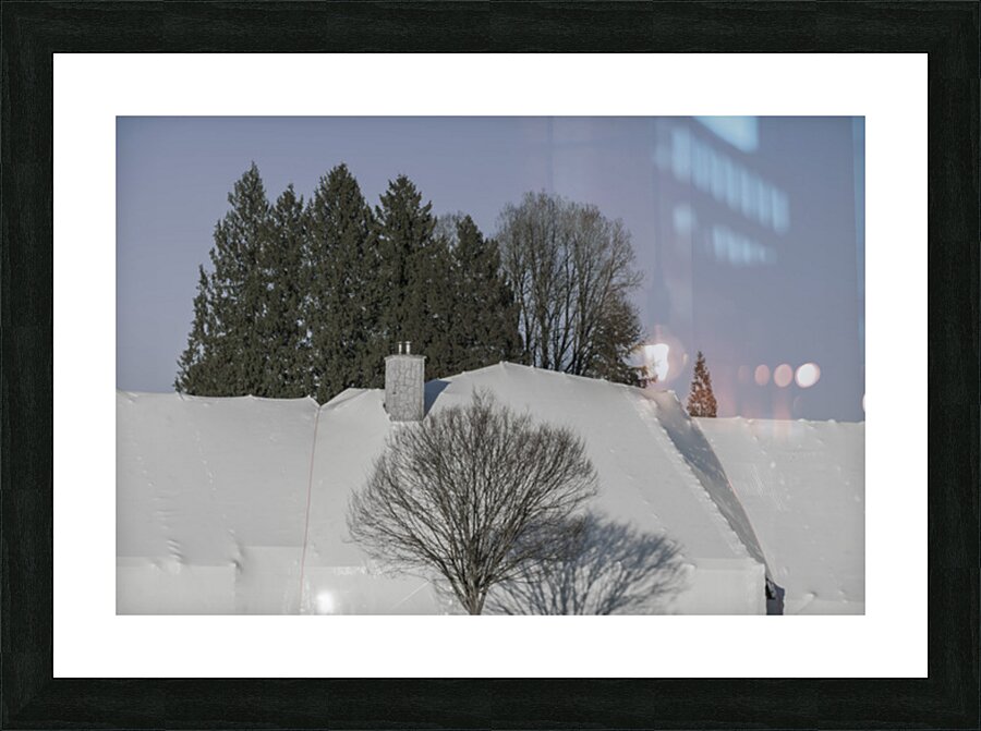 FS250305 MONO Picture Frame print