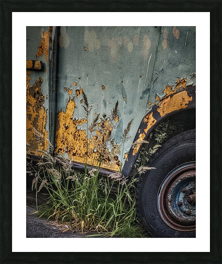 FS250623 RUST ART Picture Frame print