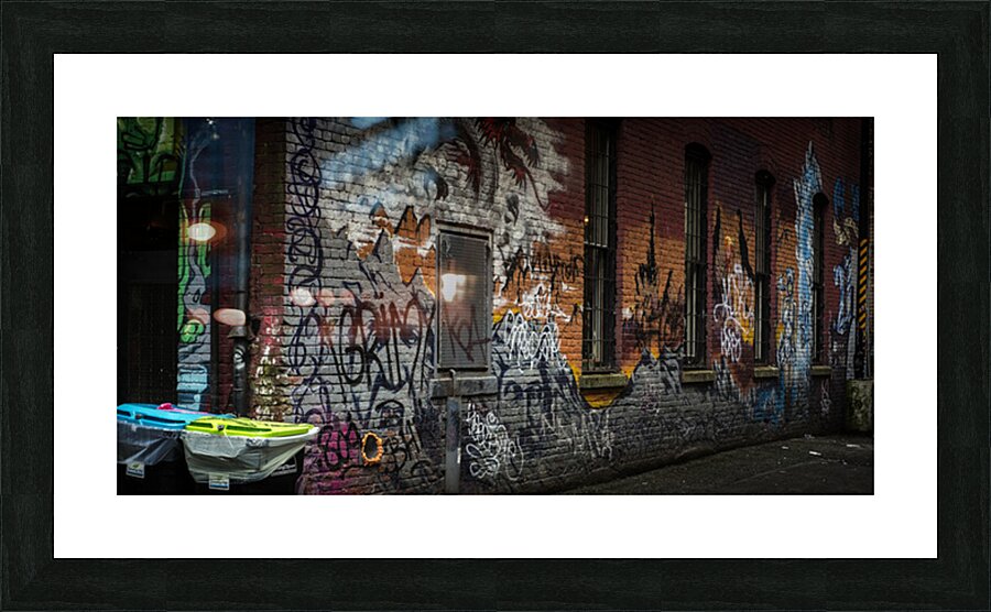FS160611 EV Picture Frame print