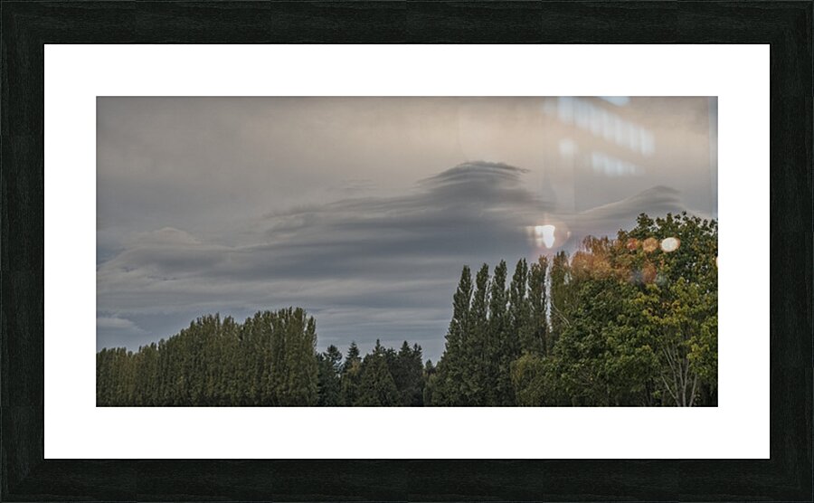 FS250920 TREES AND CLOUDS Picture Frame print