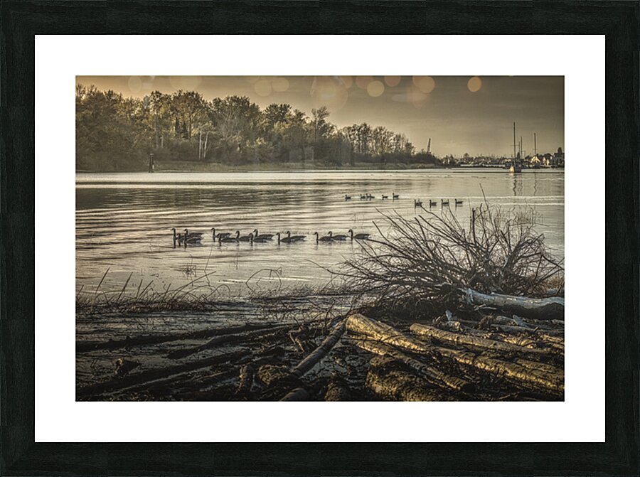 FS251002 GILBERT BEACH Picture Frame print