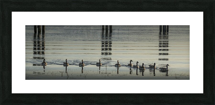 FA251002DW GEESE Picture Frame print