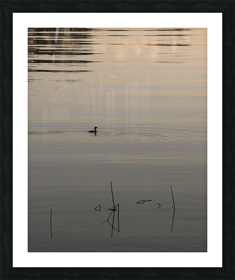 FS251015 SHADOWS Picture Frame print