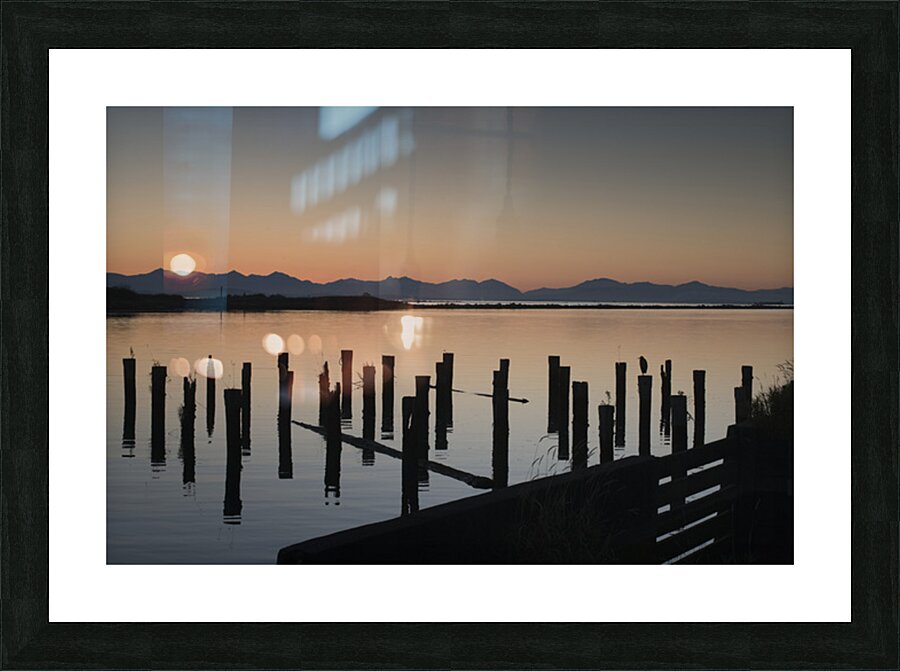 FS251015M SHADOWS Picture Frame print