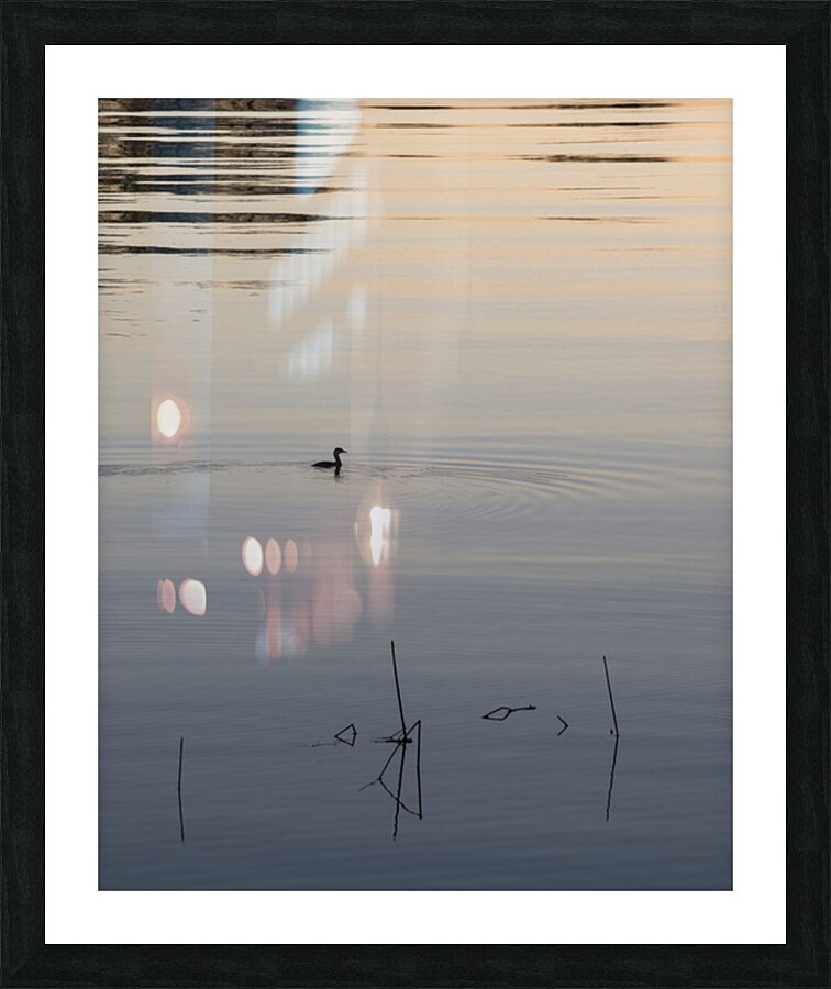 FS251015 02 SHADOWS Picture Frame print