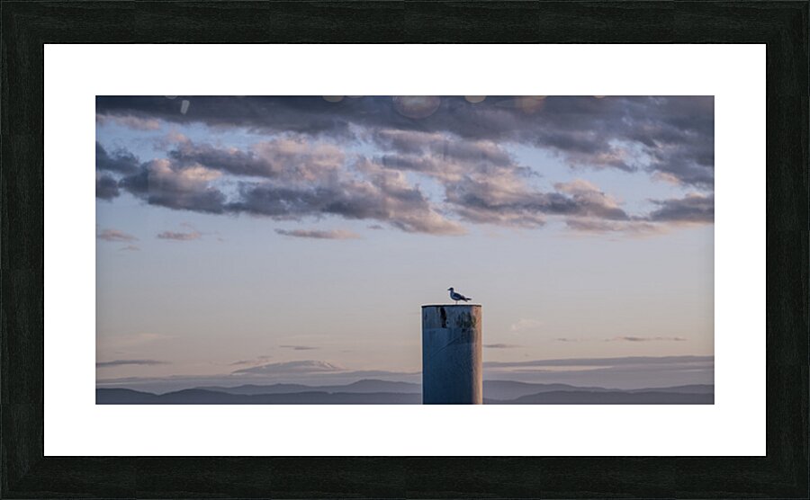 FS250925 CLOUDSCAPE 2025 Picture Frame print