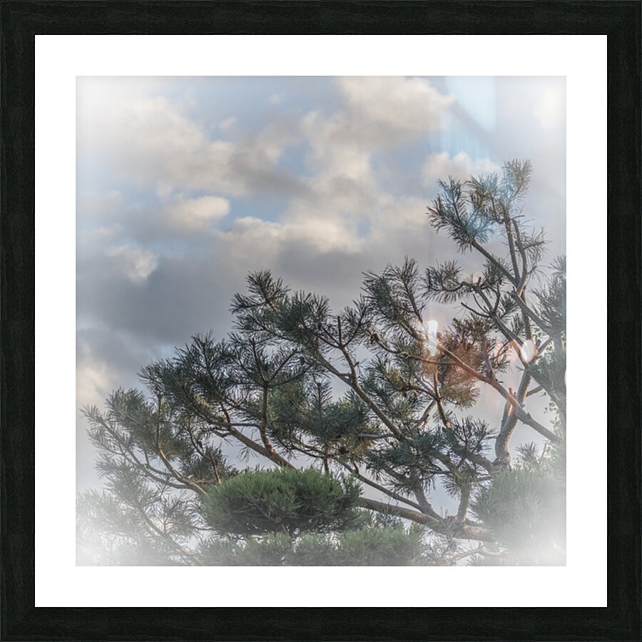FS250925 TREE Picture Frame print