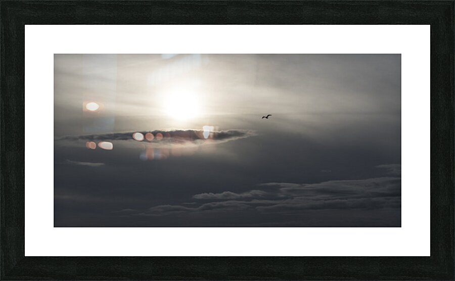 FS251123 Picture Frame print