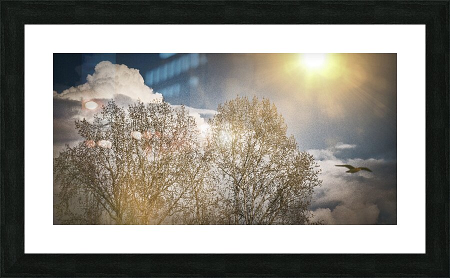 FS250331 ON A SIMPLE DAY Picture Frame print