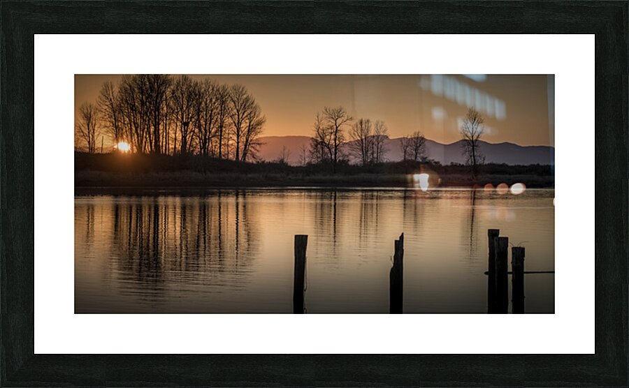 FS250117 SHADOWS Picture Frame print