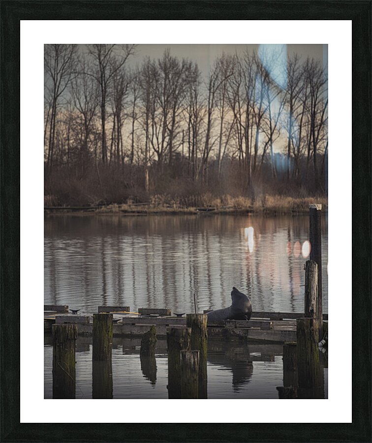 FS250226 02 Picture Frame print