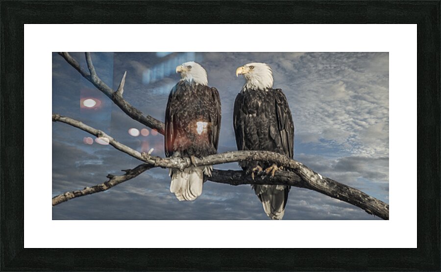 FS250211DW5 EAGLES TWOGETHER Picture Frame print