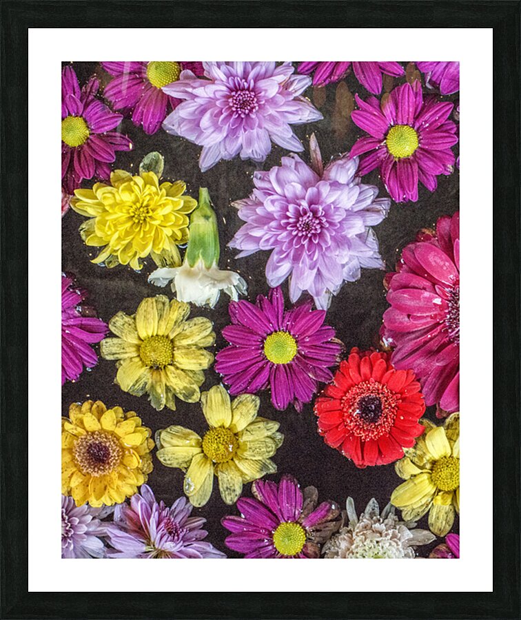 FS180130E Picture Frame print