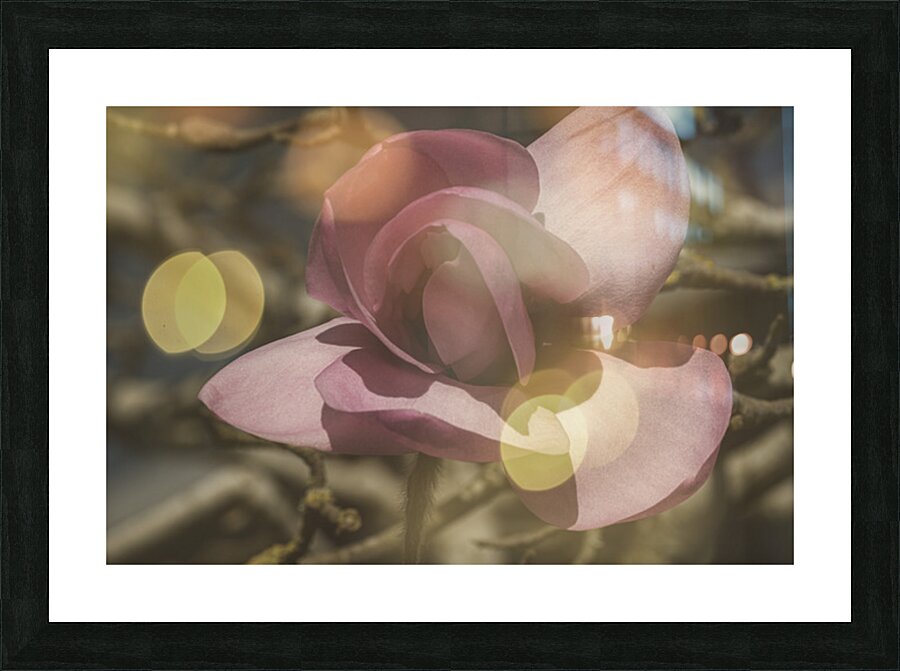 FS260314 SPRING FLOWER Picture Frame print