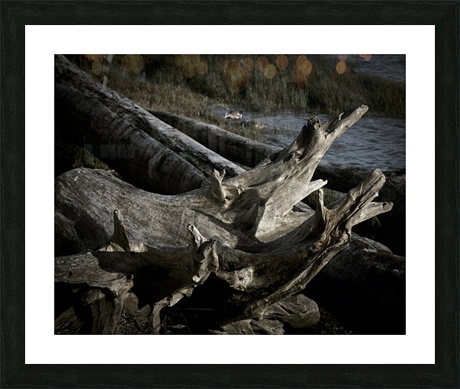 FS260415 02 Picture Frame print