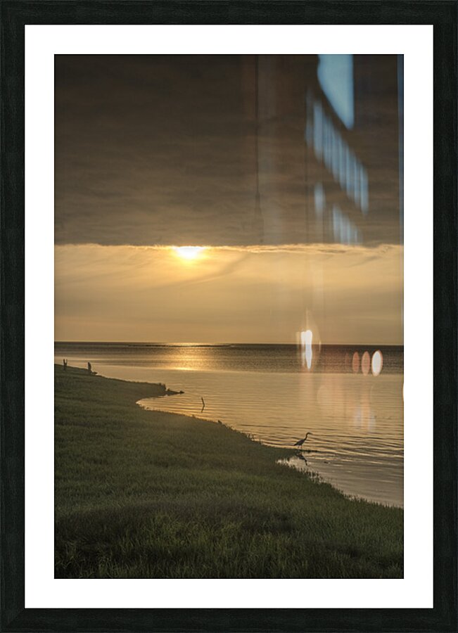 FS260507 HERON Picture Frame print