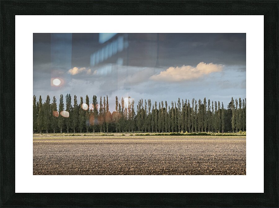 FS260515 TREES AND CLOUDS Picture Frame print