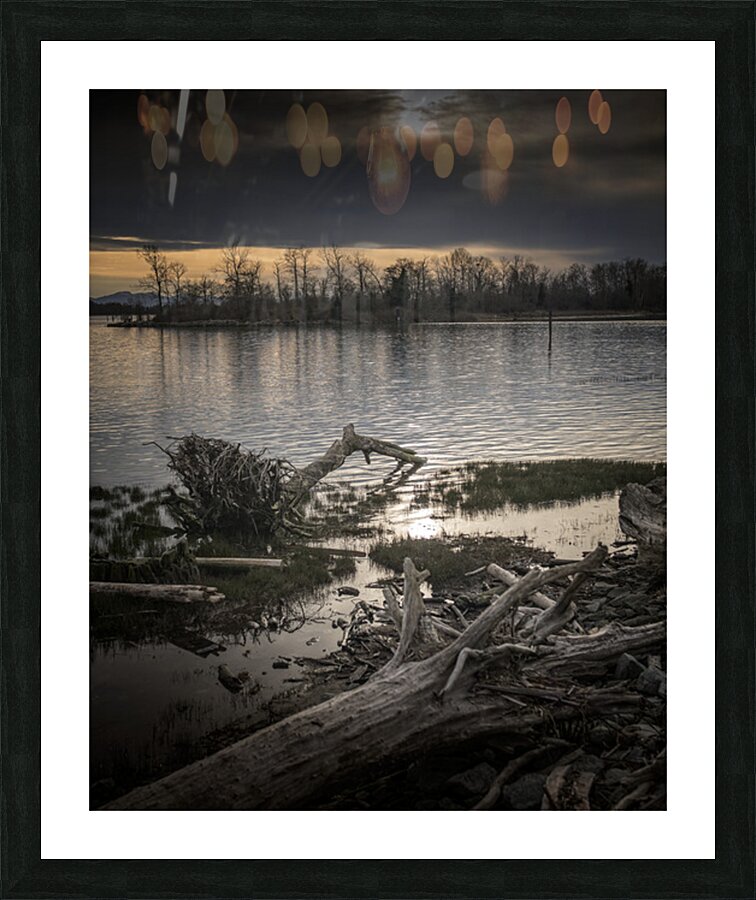 FS260331A DRIFTWOOD Picture Frame print