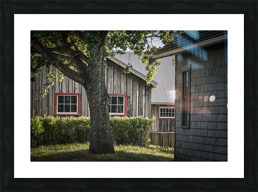 FS260618H WINDOWS Picture Frame print