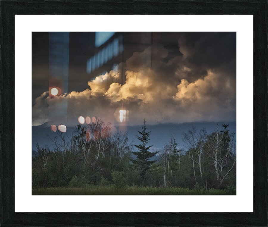 FS260630 DISTANT TREES Picture Frame print