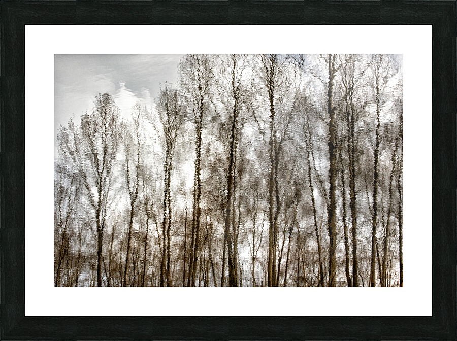 FS 160377 Picture Frame print