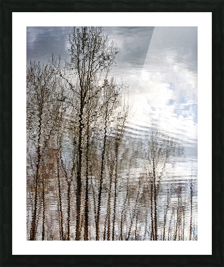 FS170310M Picture Frame print