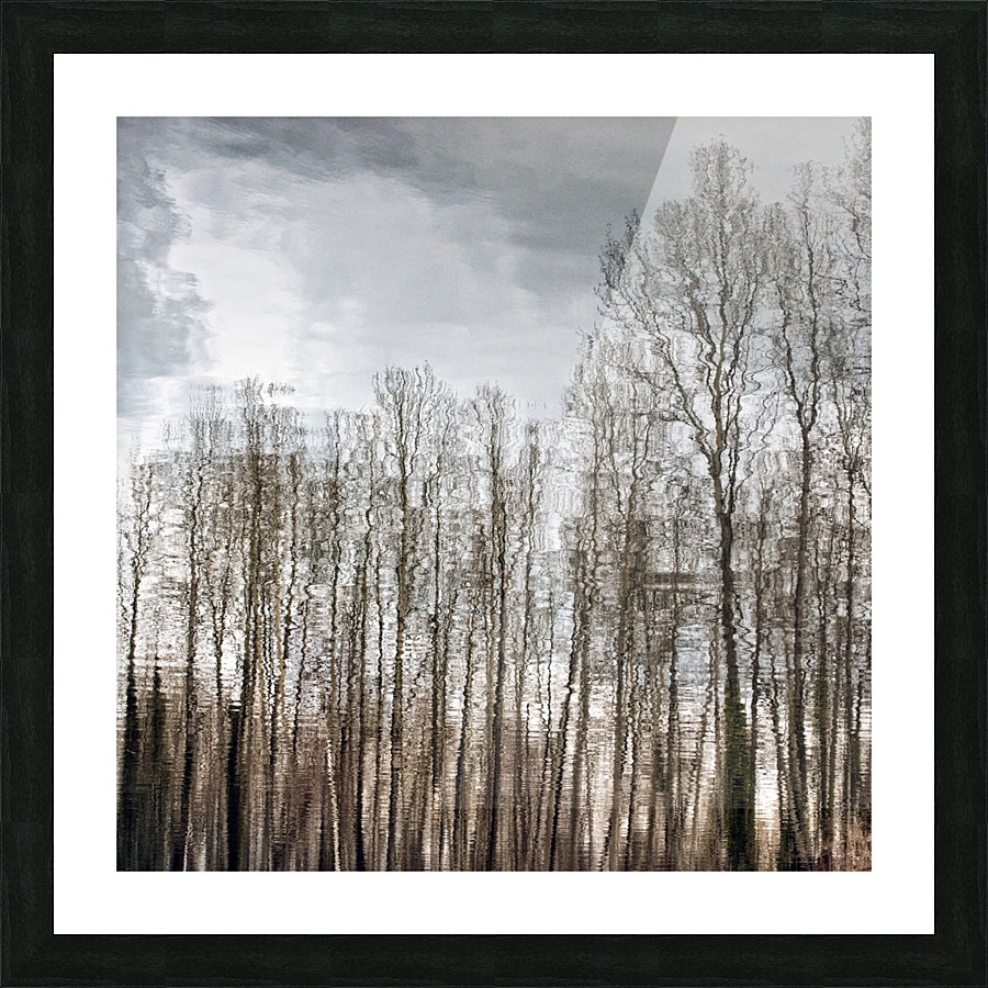 FS170228S Picture Frame print