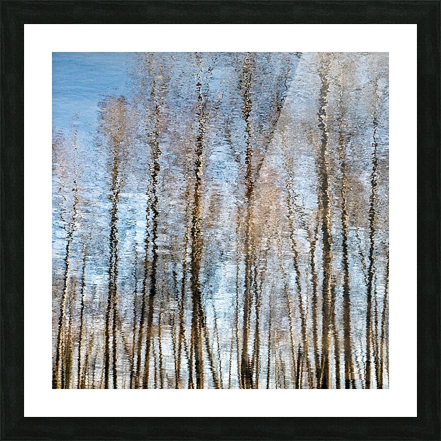FS170402S Picture Frame print