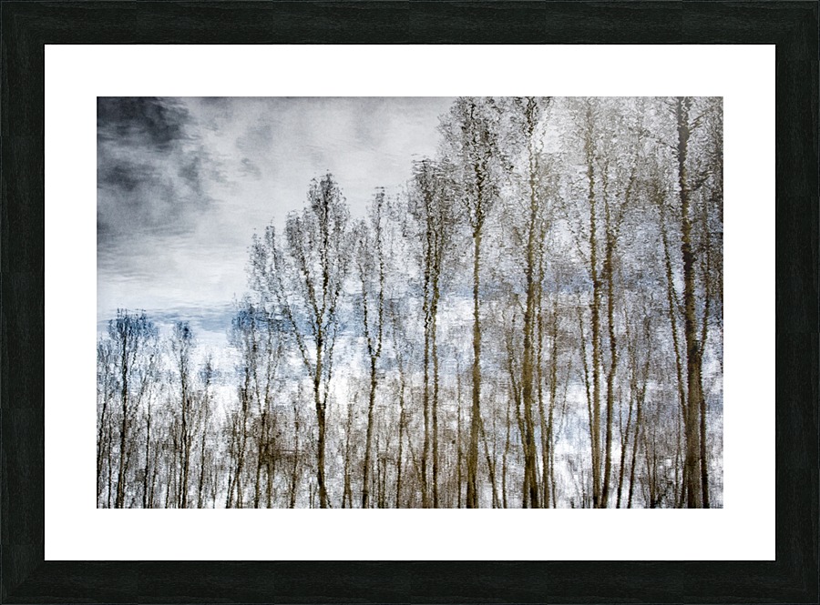 FS170221E2 Picture Frame print