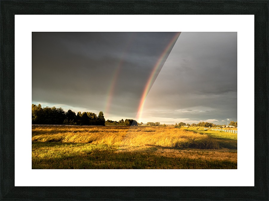 FS160617C Picture Frame print