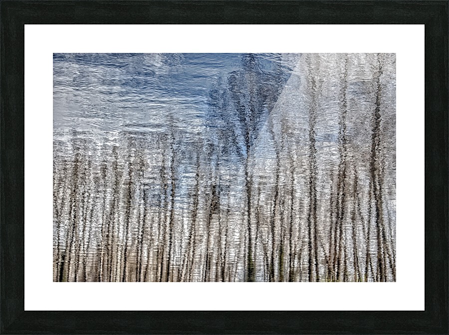 FS160329MM Picture Frame print